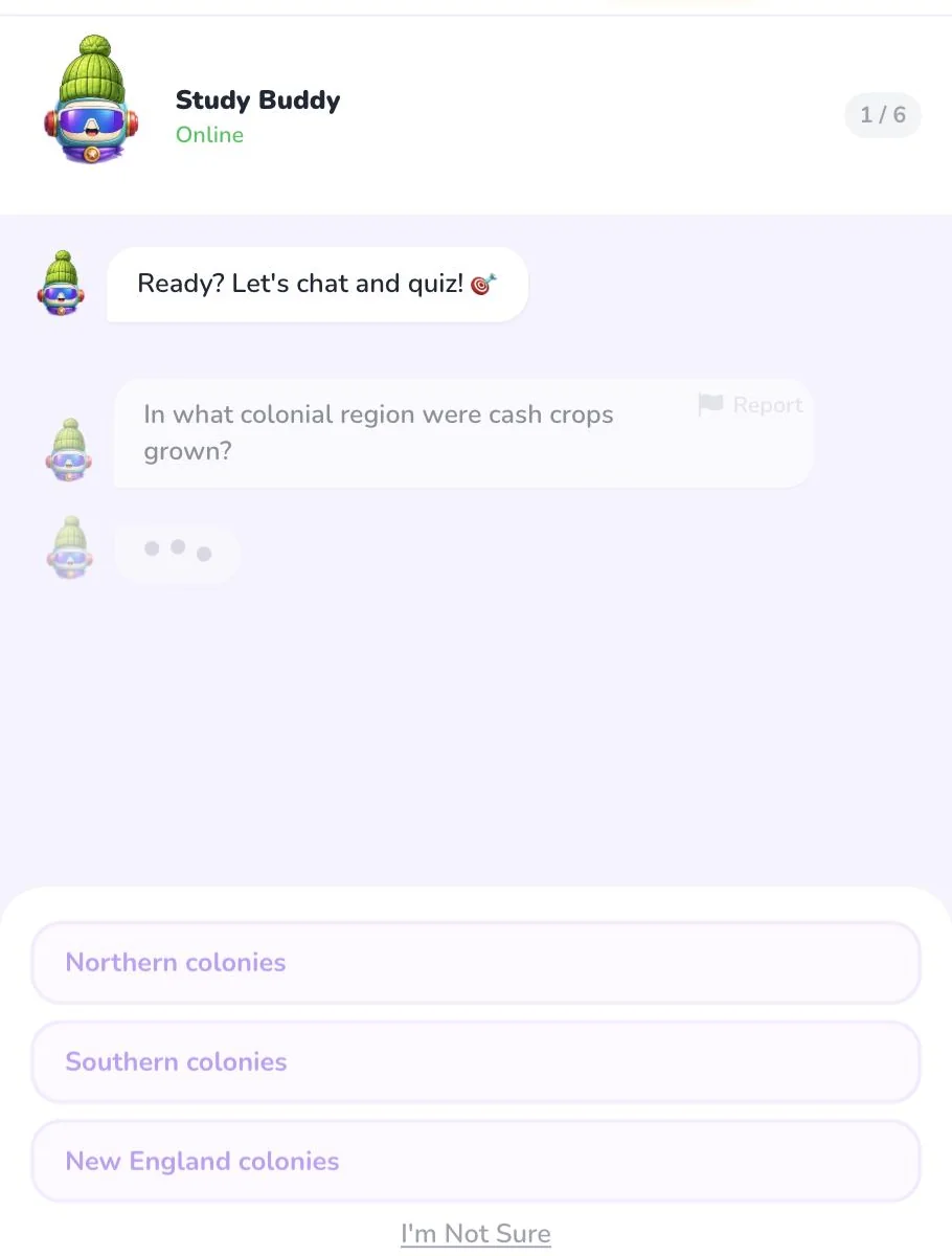 Chat Quest gameplay: a chat conversation with the Study Buddy pet asking a question, with tappable answer choices styled like message bubbles
