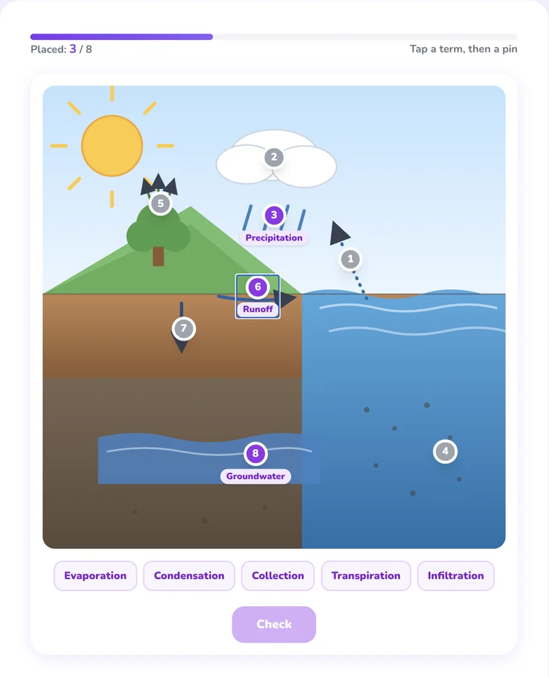 Label Lab gameplay: a water cycle diagram with numbered pins, some already labeled with terms like Precipitation and Runoff, and a word bank of remaining terms below